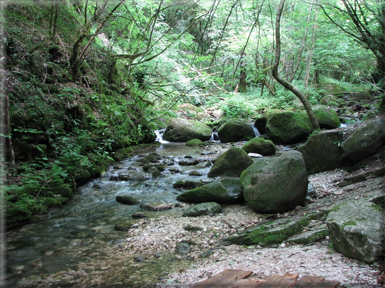 foto Lago del Corlo